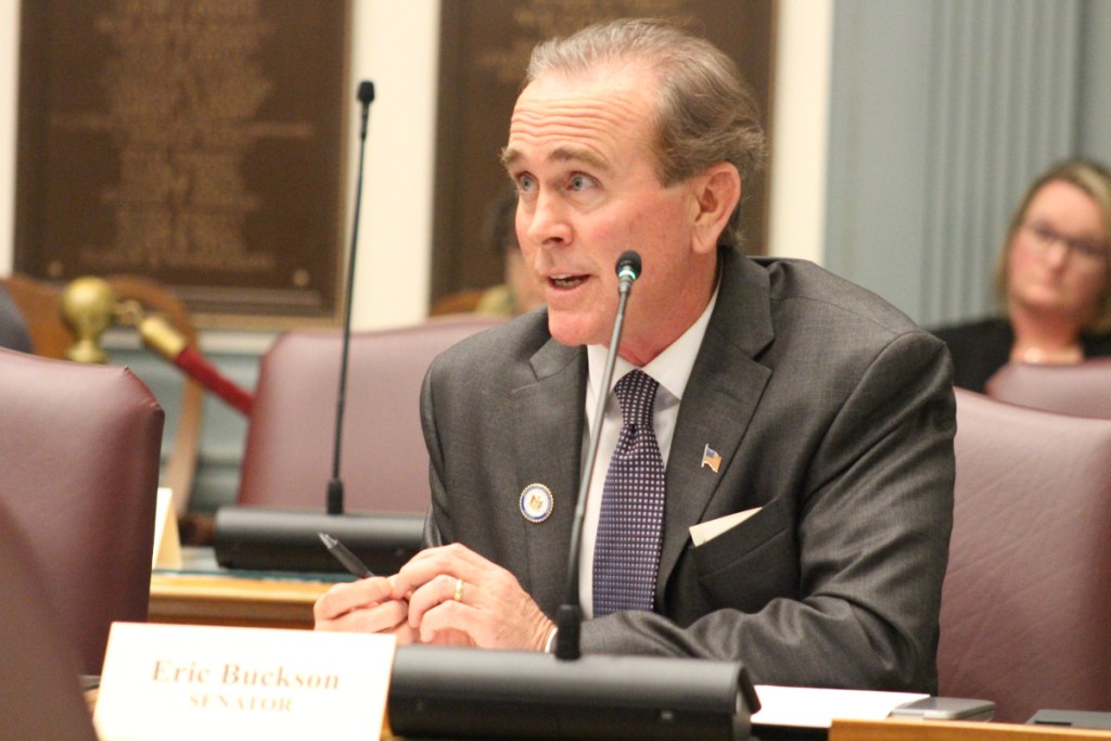 State Sen. Eric Buckson (R-Dover) asks a question during a Senate Education Committee hearing in April 2024.