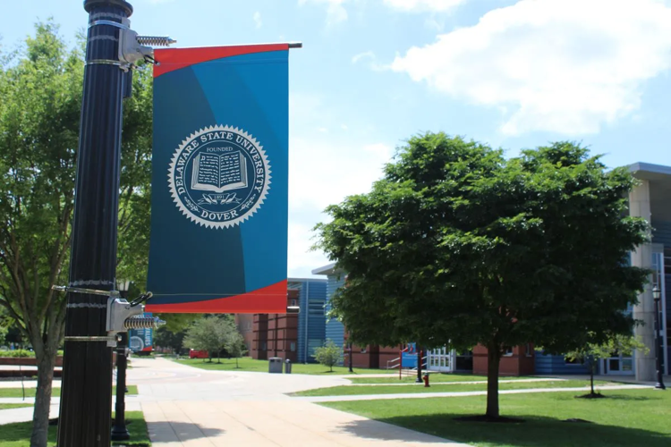 DSU4 Spotlight Delaware.png